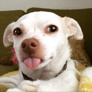 Meet your Posher, Tiffany